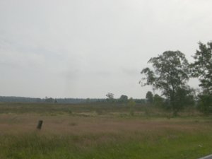 RTF Meckelfeld 2009 033